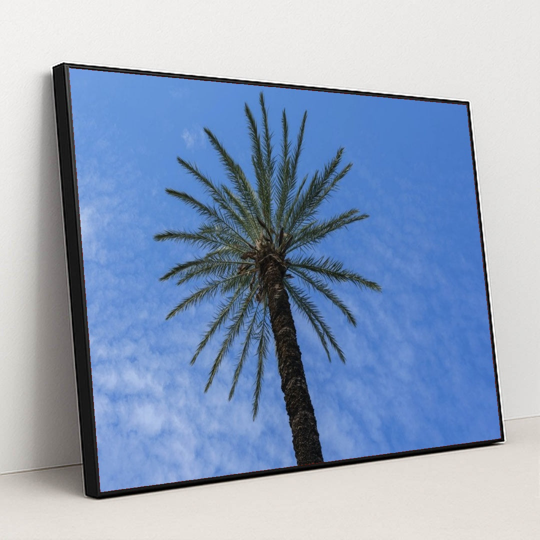 7090249302051 - Product Image