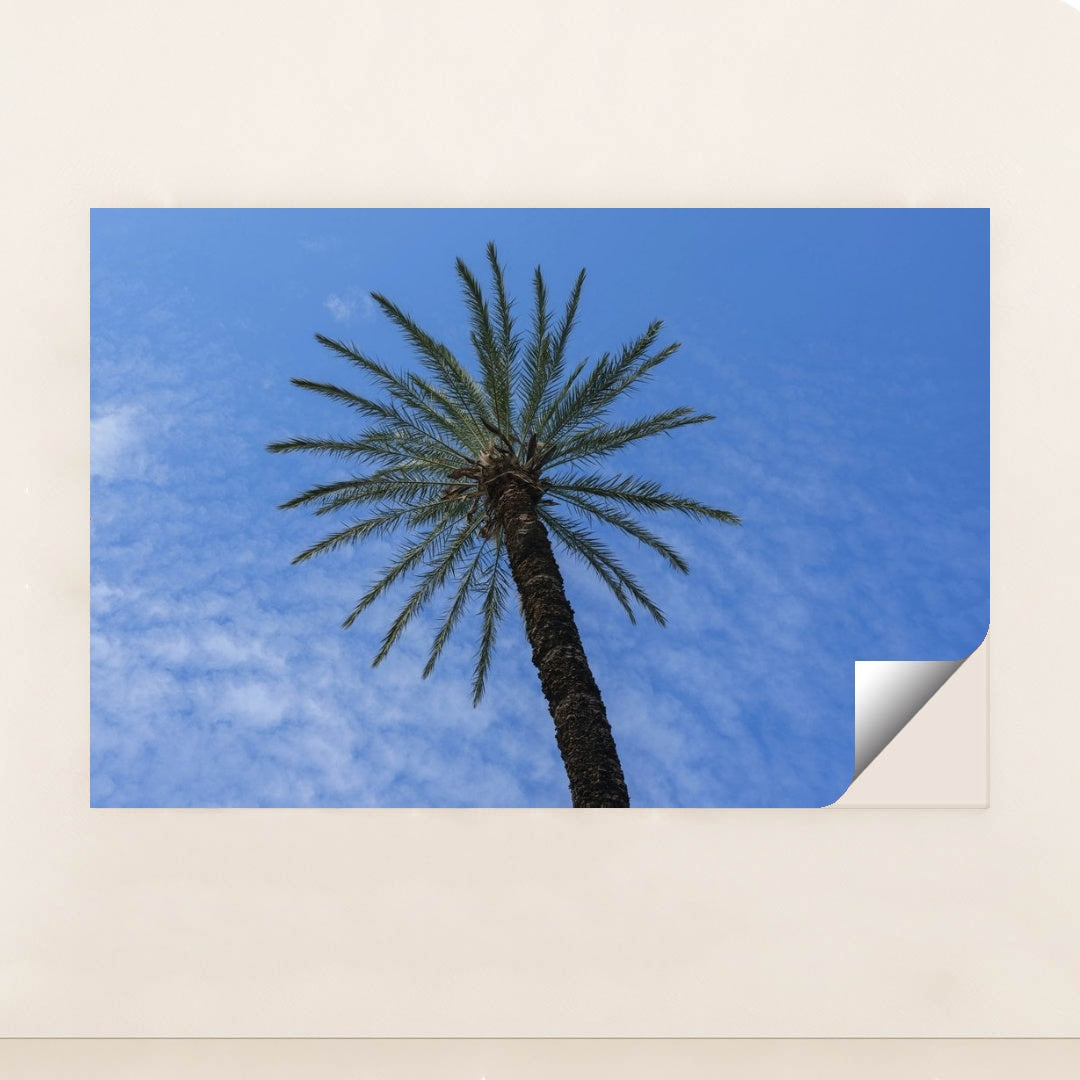 7090249302051 - Product Image