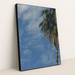 7090249596963 - Product Image