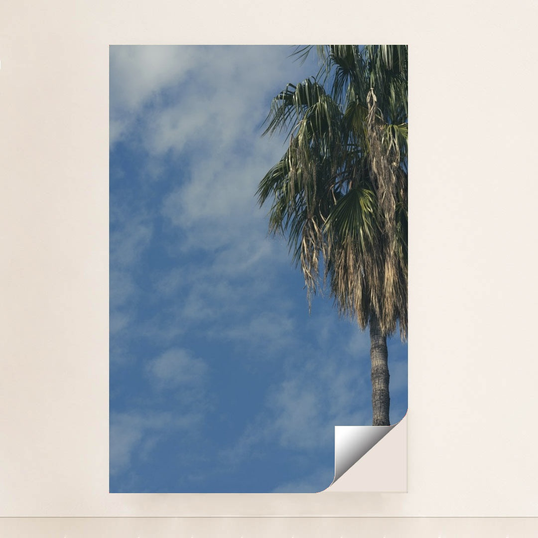 7090249596963 - Product Image