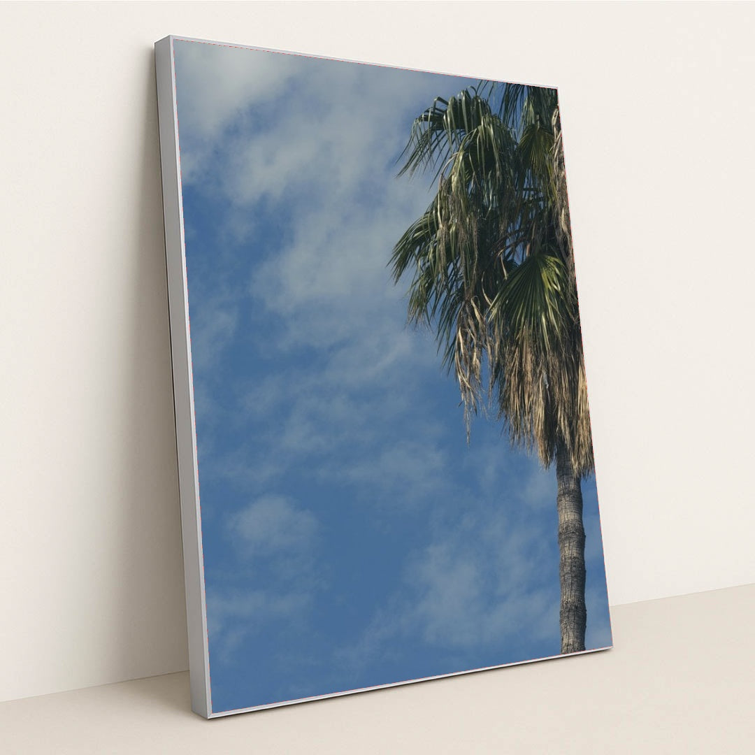 7090249596963 - Product Image