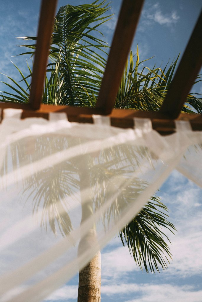 Laura Stanley - Relaxing view from a cabana featuring palm trees and a blue sky. Perfect for a tropical vacation vibe.