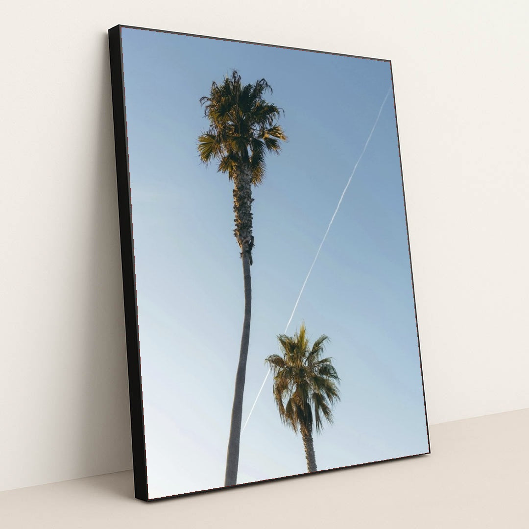 7090351964195 - Product Image