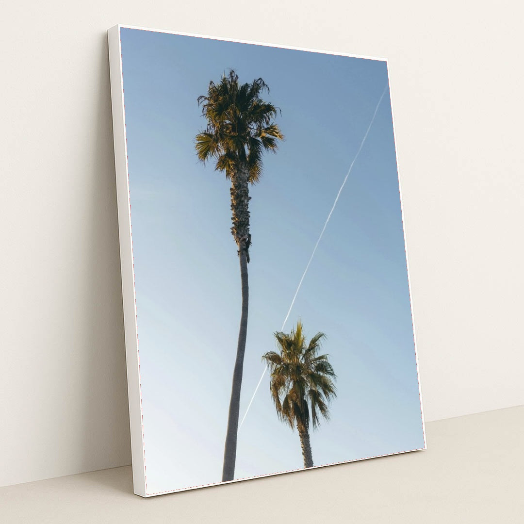 7090351964195 - Product Image