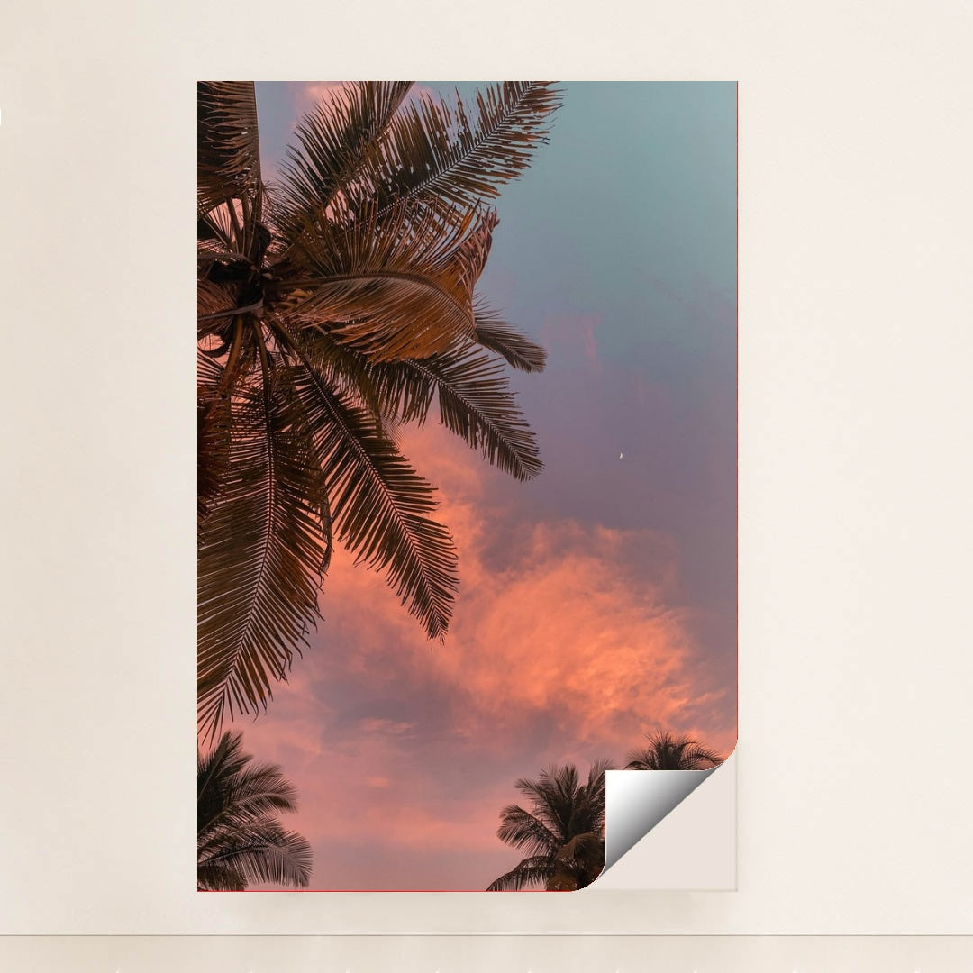 Palm Trees at Sunset by Mel Elías - Peeliez