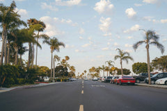Matt Hardy - Scenic view of a palm-lined street in San Diego with parked cars and a clear sky.