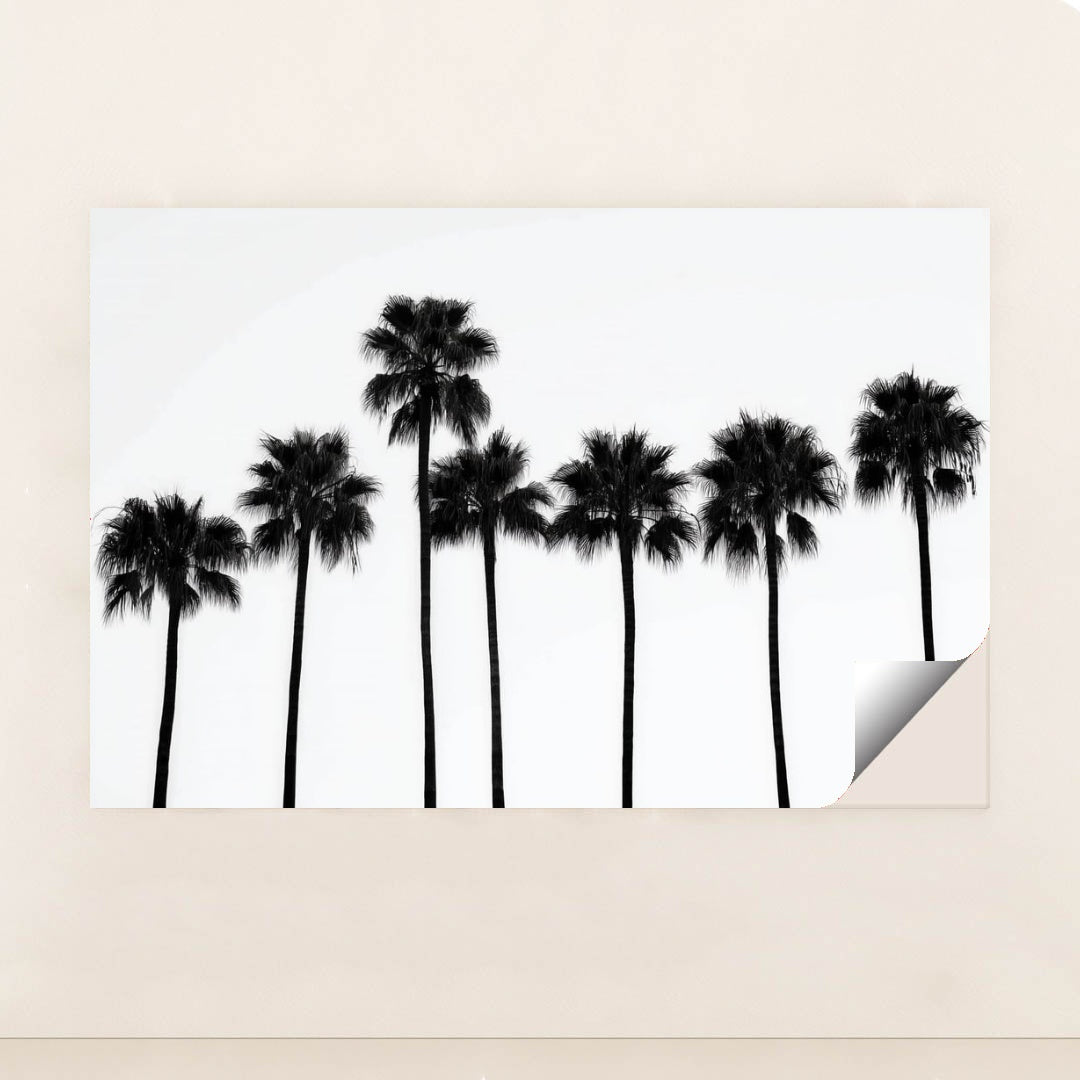 6245 - Product Image