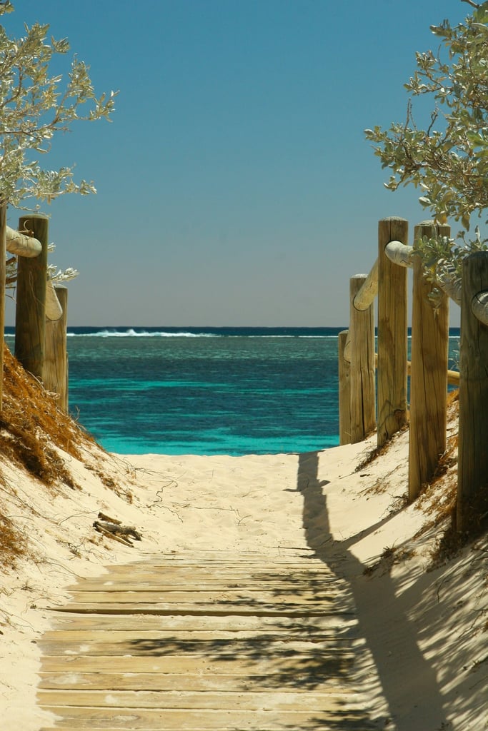 Path to the Ocean by Chris Galbraith