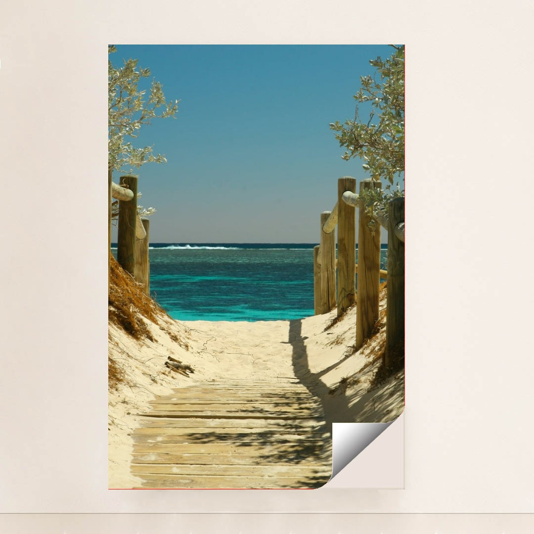 Path to the Ocean by Chris Galbraith - Peeliez