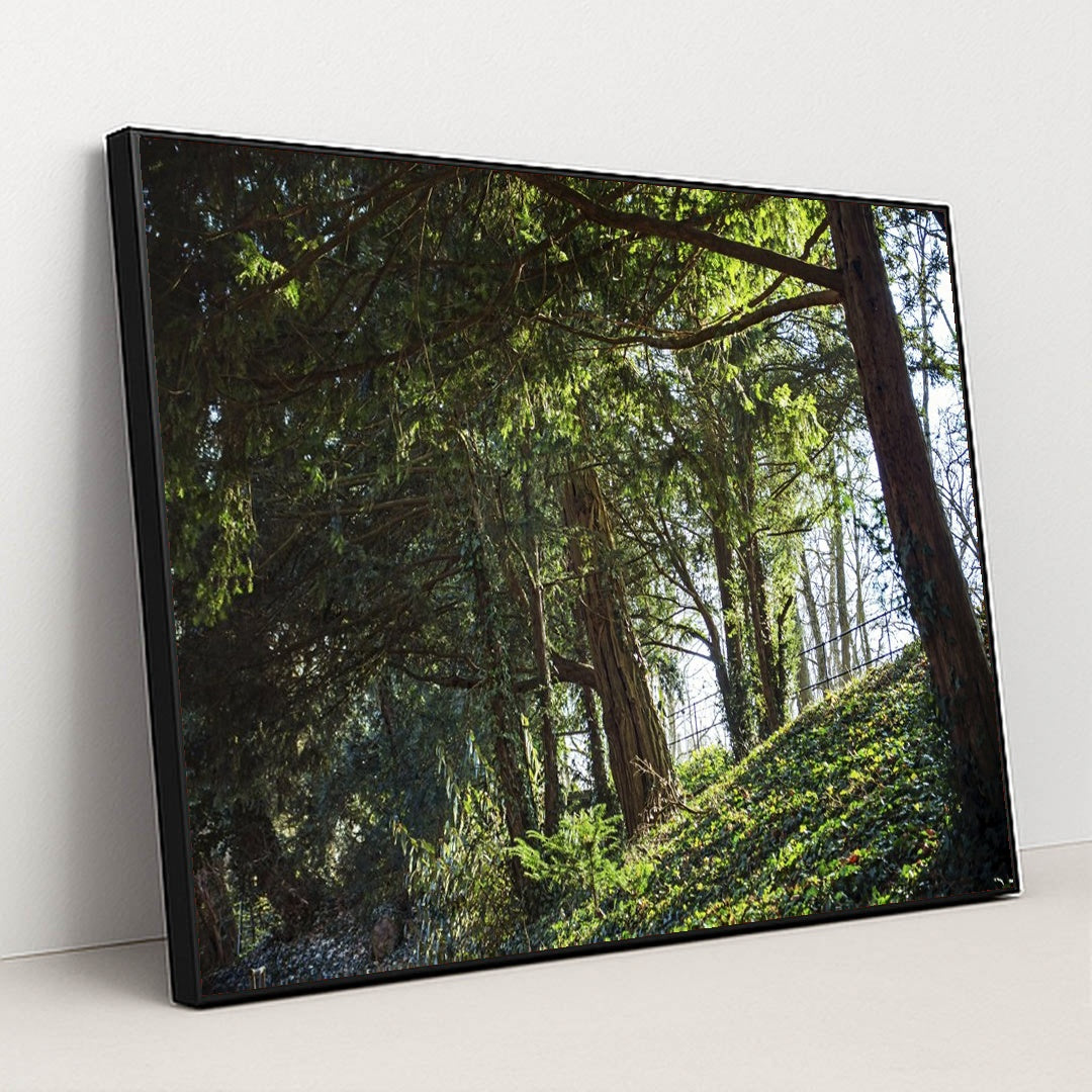 Peaceful Forest in Ingolstadt by Pawel Hordjewicz - Black Frame Stretchiez