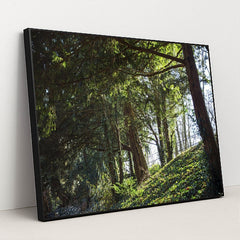 Peaceful Forest in Ingolstadt by Pawel Hordjewicz - Black Frame Stretchiez