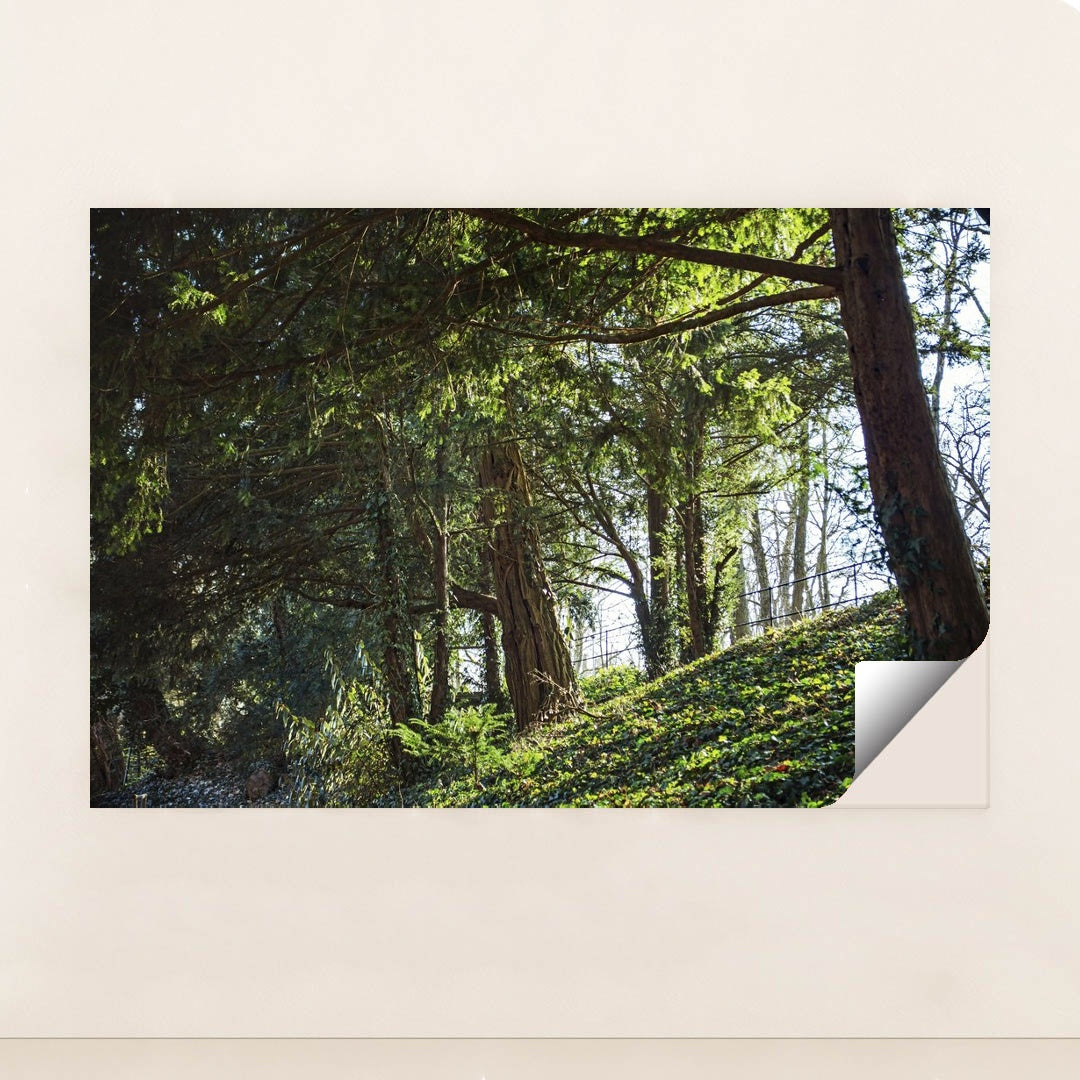 Peaceful Forest in Ingolstadt by Pawel Hordjewicz - Peeliez