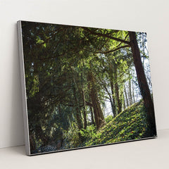 Peaceful Forest in Ingolstadt by Pawel Hordjewicz - Silver Frame Stretchiez