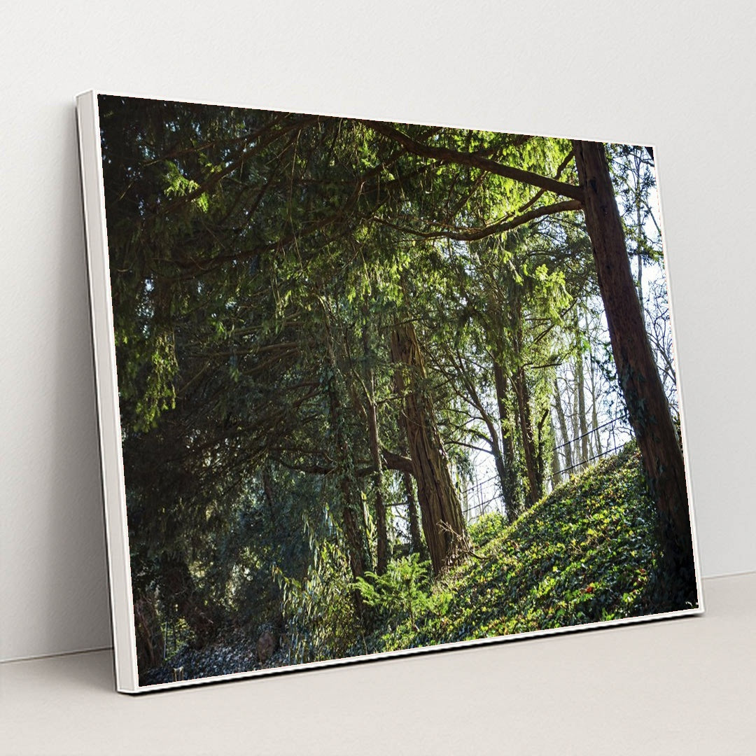 Peaceful Forest in Ingolstadt by Pawel Hordjewicz - White Frame Stretchiez