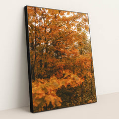 Peak Season by Hans - Black Frame Stretchiez