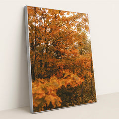 Peak Season by Hans - Silver Frame Stretchiez