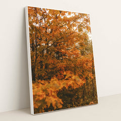 Peak Season by Hans - White Frame Stretchiez