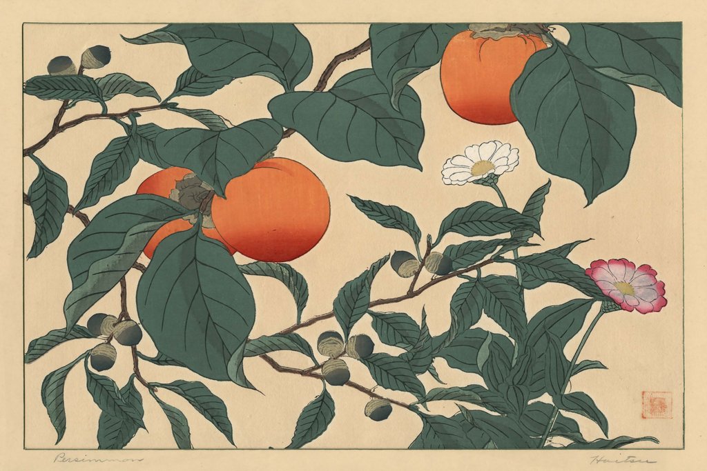 Persimmon (1920s) by Sakai Hōitsu