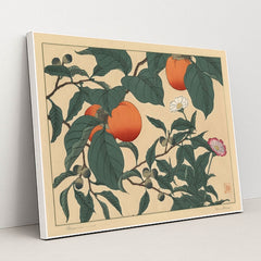 Persimmon (1920s) by Sakai Hōitsu - White Frame Stretchiez