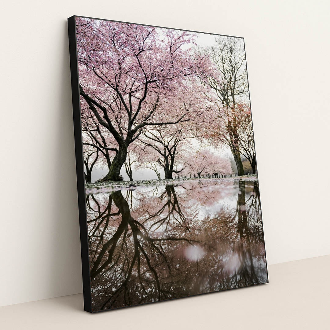 Petal Mirror by Redd Francisco - Black Frame Stretchiez