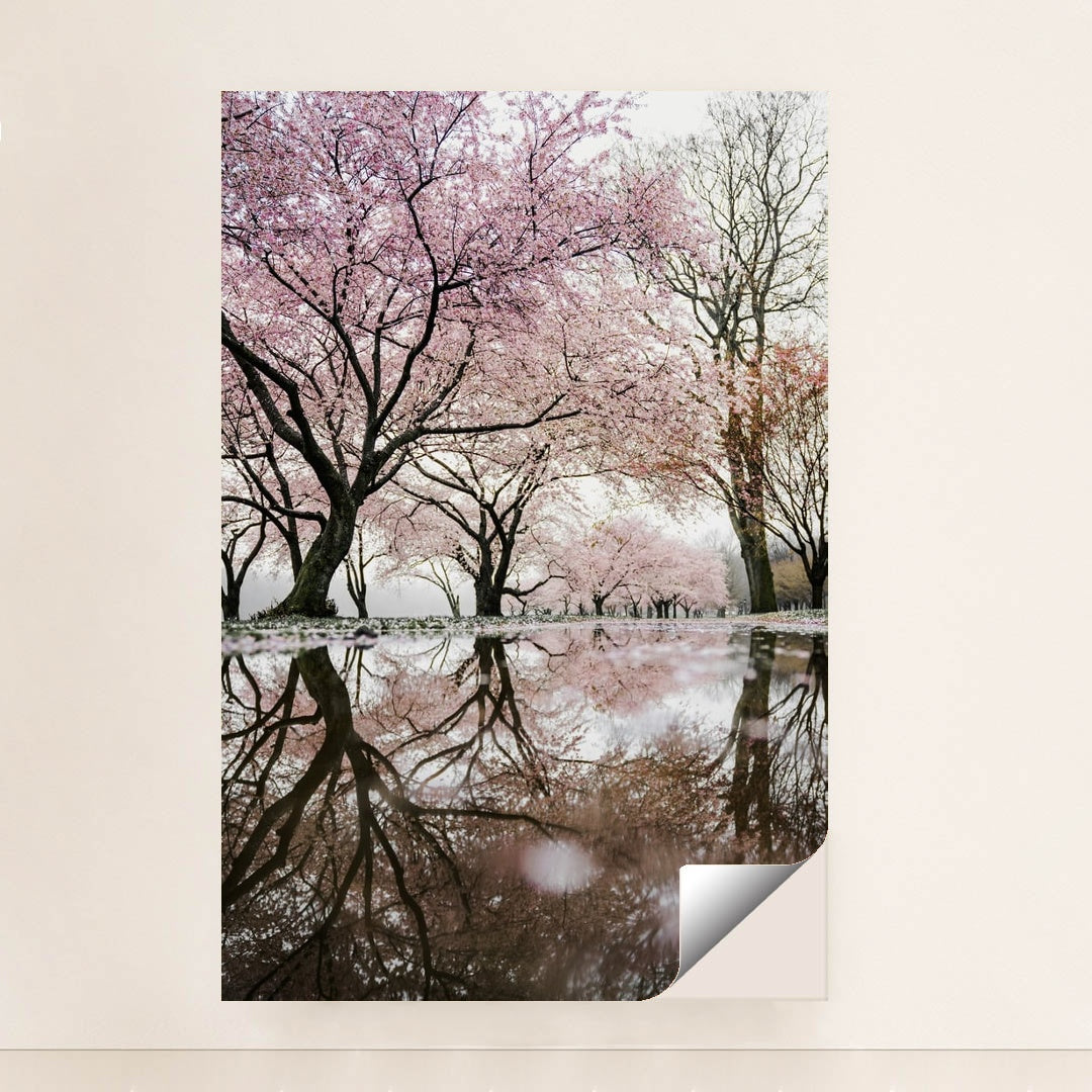 Petal Mirror by Redd Francisco - Peeliez