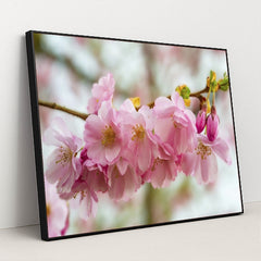 7090346000419 - Product Image