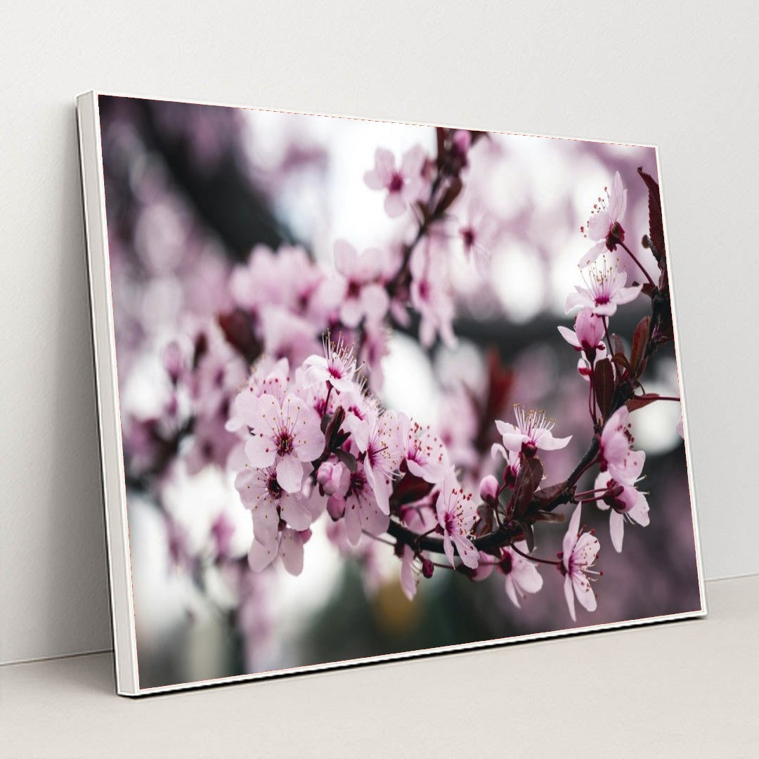 7090346491939 - Product Image