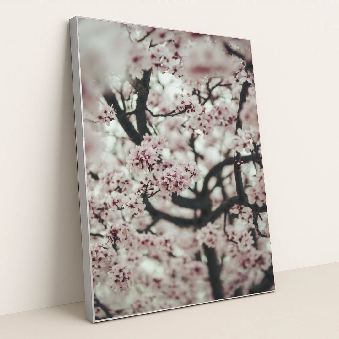 7090327486499 - Product Image