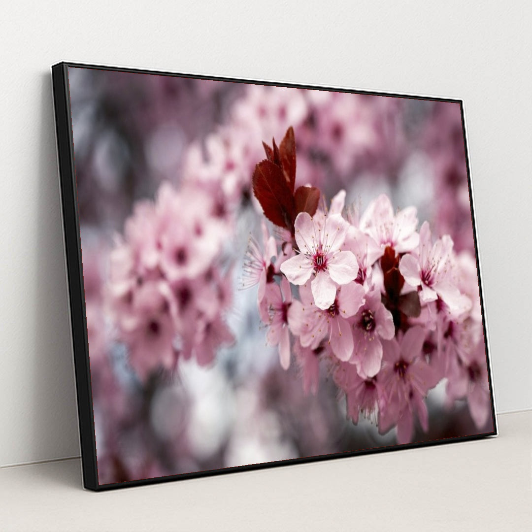 7090346033187 - Product Image