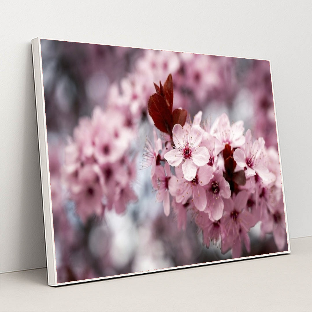 7090346033187 - Product Image