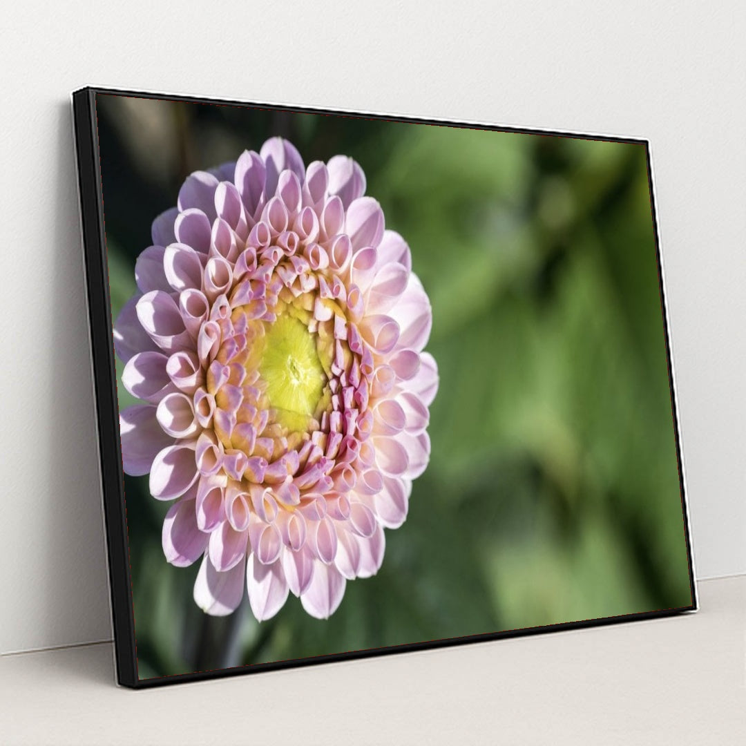 7090297634851 - Product Image