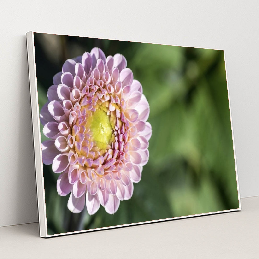 7090297634851 - Product Image