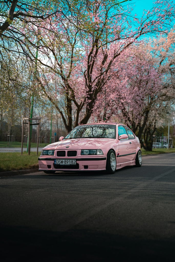 Pink E36 Under Sakura by Martin Błaszkiewicz