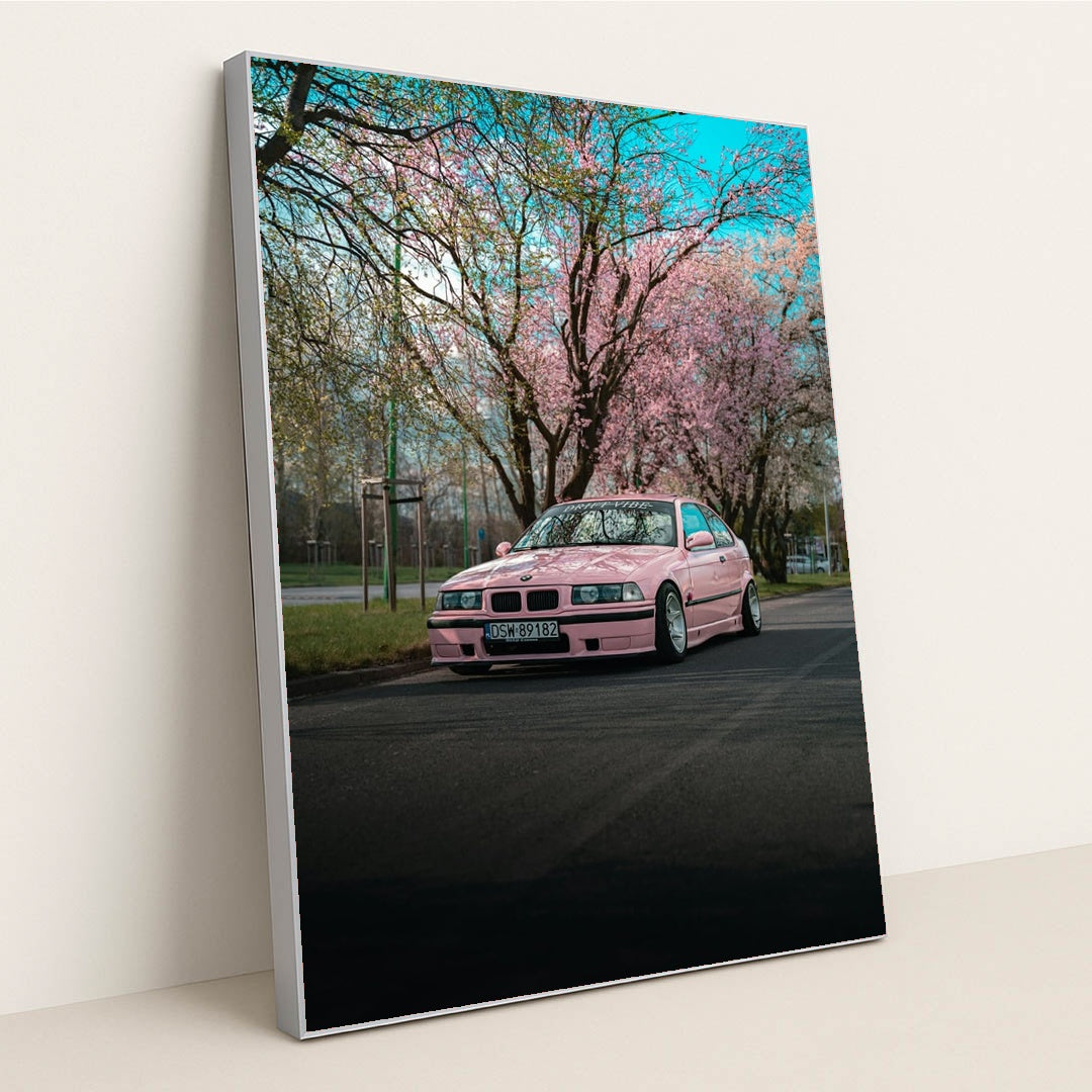 Pink E36 Under Sakura by Martin Błaszkiewicz - Silver Frame Stretchiez