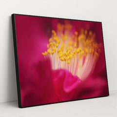 7090258542627 - Product Image