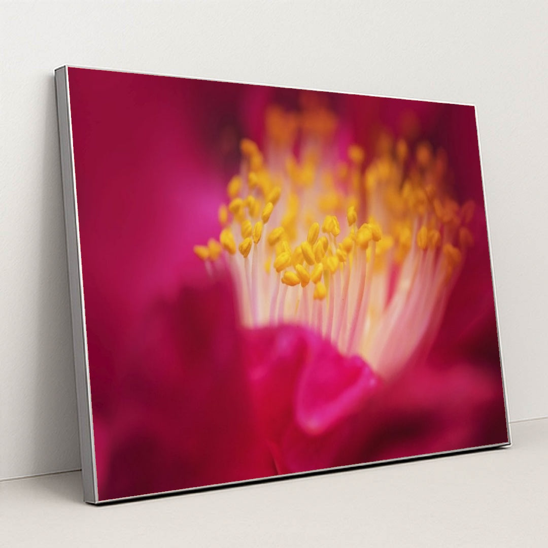 7090258542627 - Product Image