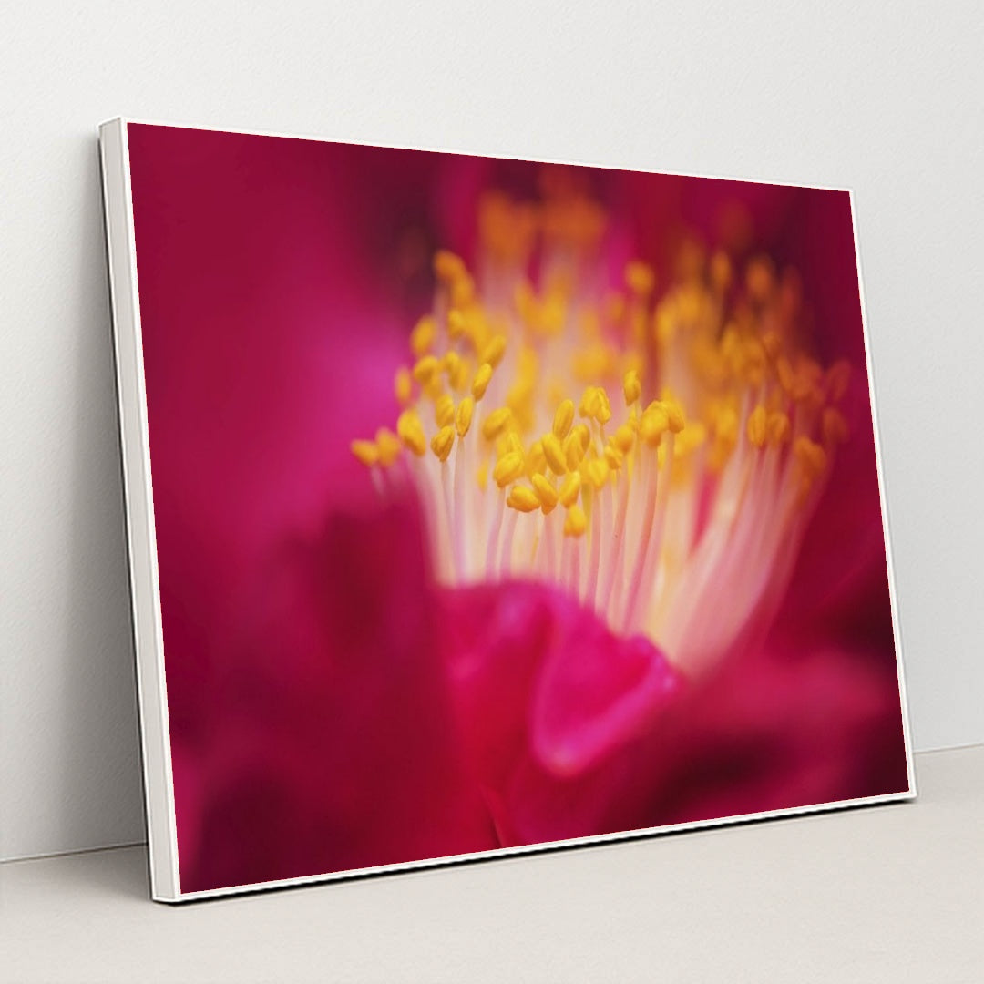 7090258542627 - Product Image