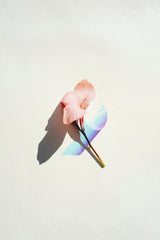 Evie Shaffer - Elegant pink lily with holographic shadow on clean white background, perfect for modern designs.