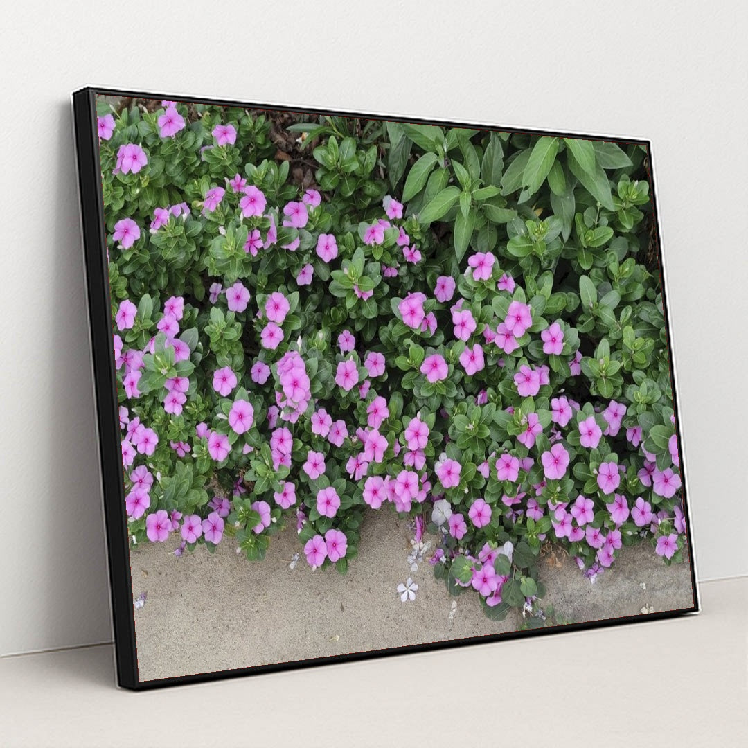 7090352029731 - Product Image