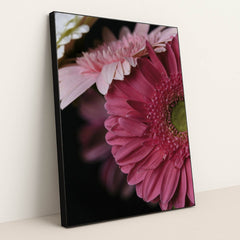 Vibrant Pink Gerbera Daisy Portrait by Engin Akyurt - Black Frame Stretchiez