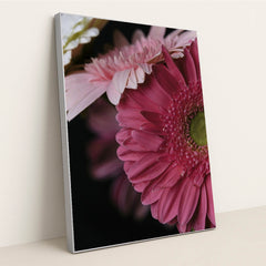 Vibrant Pink Gerbera Daisy Portrait by Engin Akyurt - Silver Frame Stretchiez