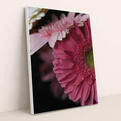 Vibrant Pink Gerbera Daisy Portrait by Engin Akyurt - White Frame Stretchiez