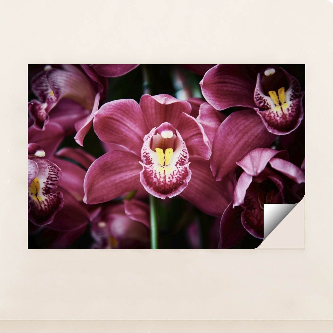 7090287575075 - Product Image