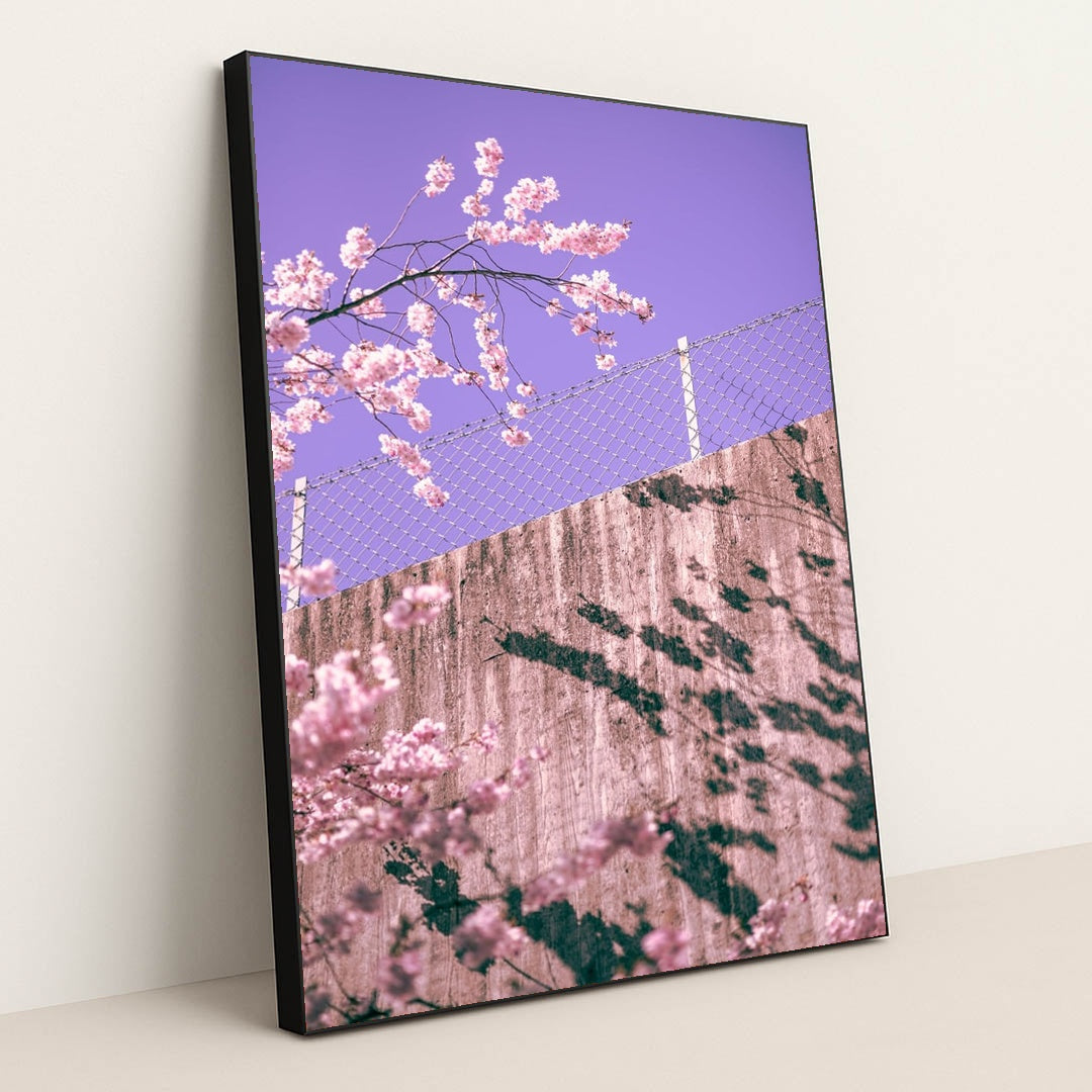 Pink Over the Barrier by Martin Isaksson - Black Frame Stretchiez