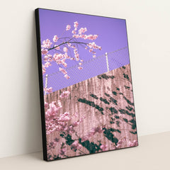 Pink Over the Barrier by Martin Isaksson - Black Frame Stretchiez