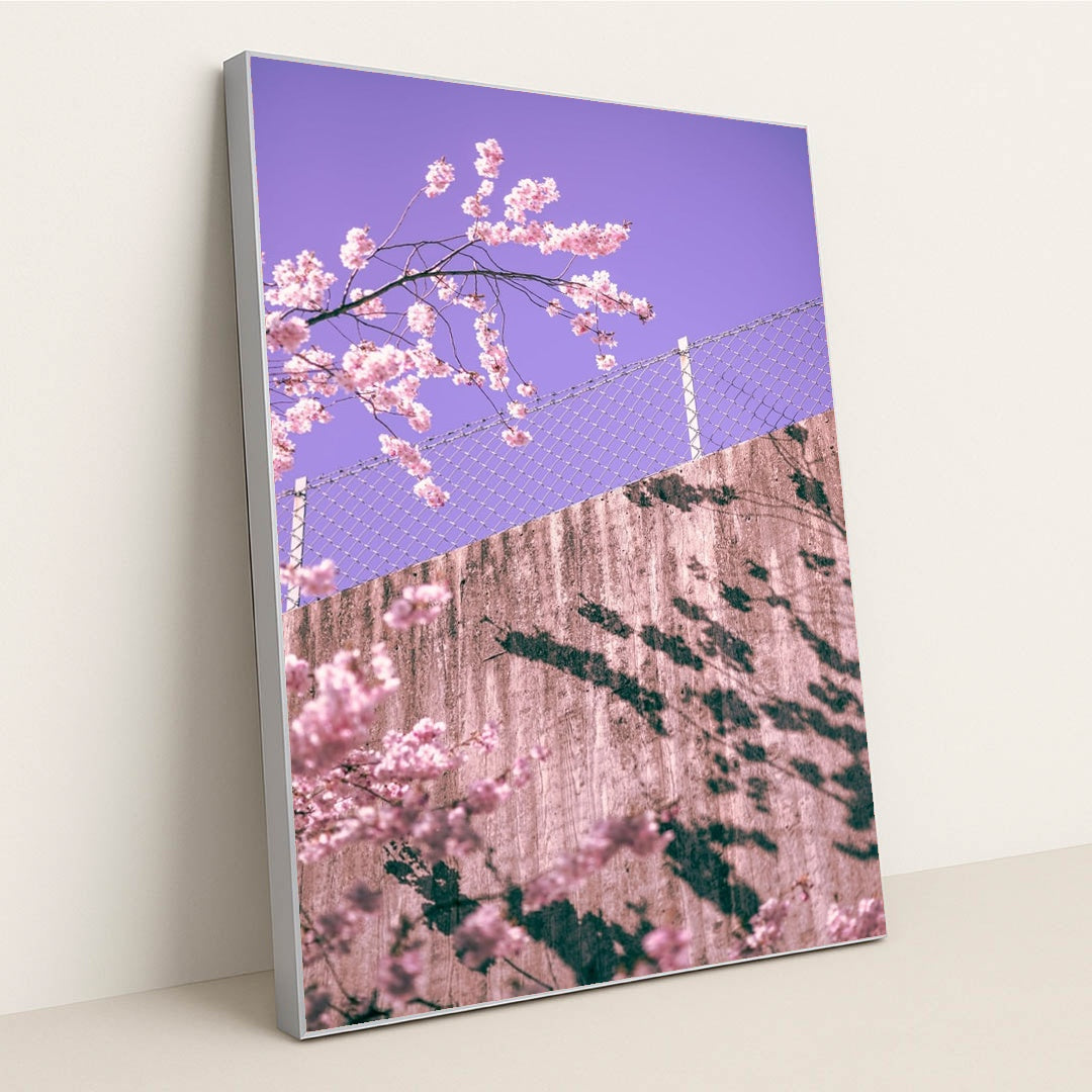 Pink Over the Barrier by Martin Isaksson - Silver Frame Stretchiez