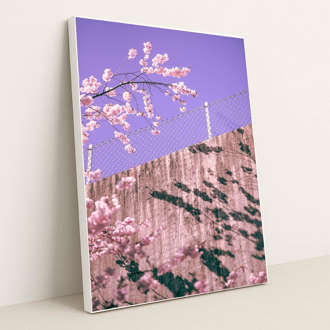 Pink Over the Barrier by Martin Isaksson - White Frame Stretchiez