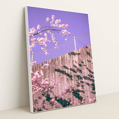 Pink Over the Barrier by Martin Isaksson - White Frame Stretchiez
