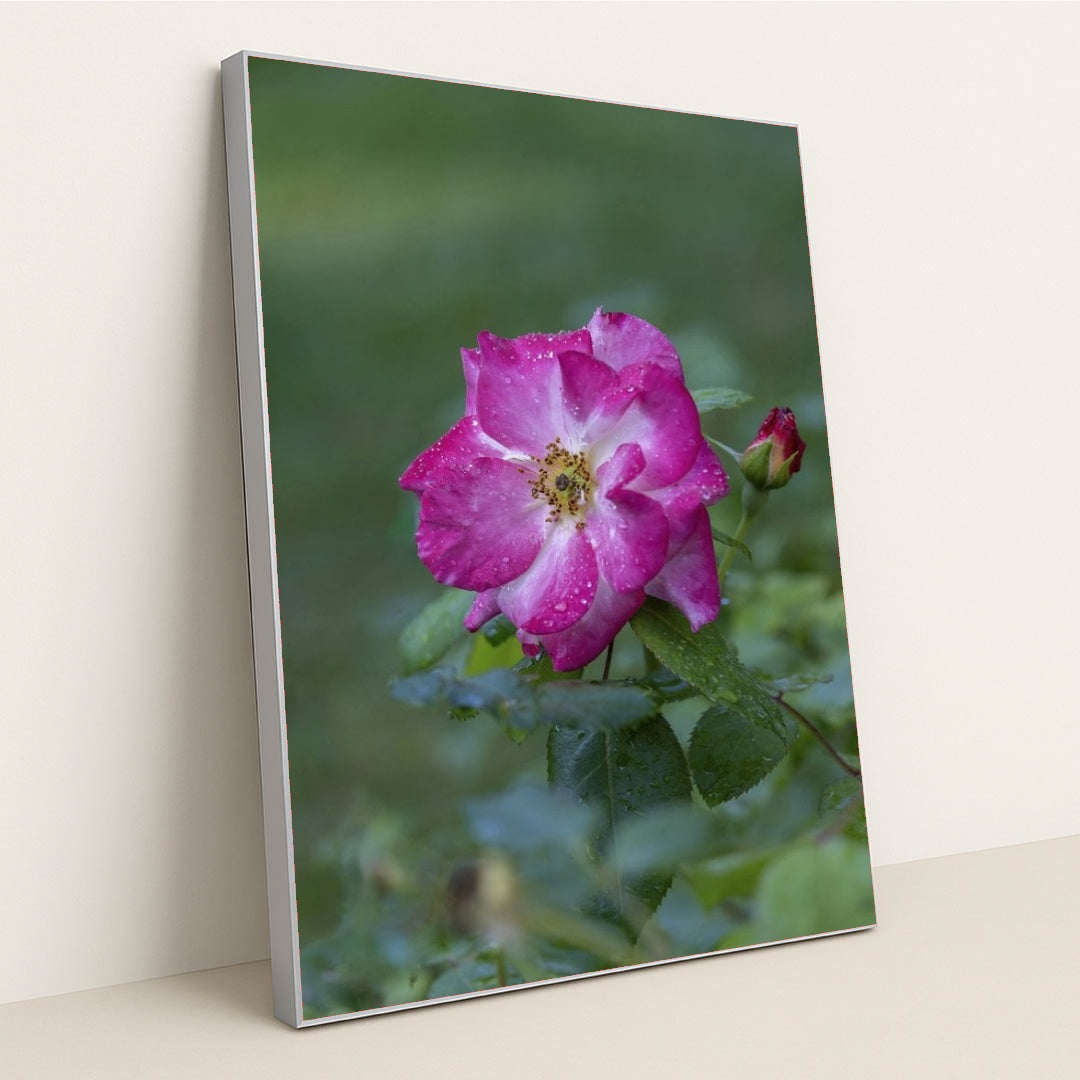 7090348294179 - Product Image