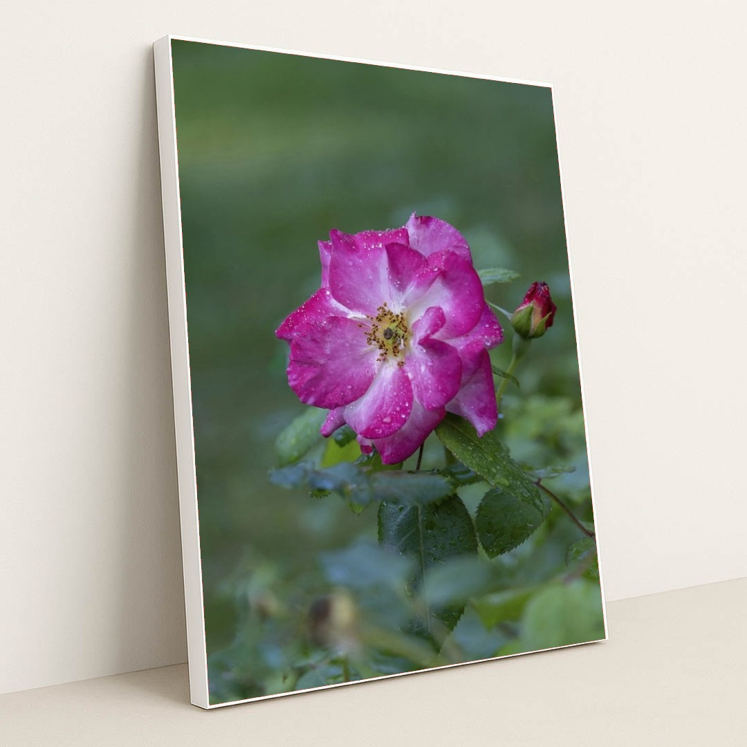 7090348294179 - Product Image